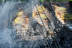 Grilling dorada fish on grill