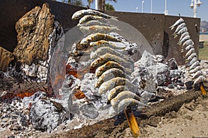 Grilling espetos at Malaga Chiringuito, Spain photo