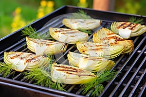 grilling fennel bulbs on a barbecue set outdoors