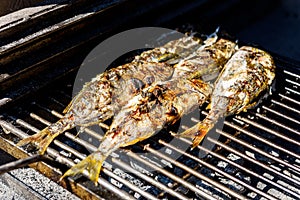 Grilling fish on a bbq barbecue grill over hot coal
