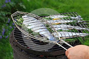 Grilling fish on campfire. The process of grilling trout