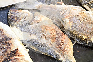 Grilling gilt-head bream in Spain photo