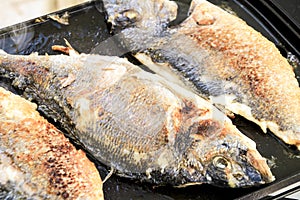 Grilling gilt-head bream in Spain photo