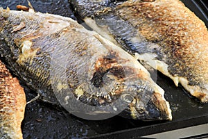 Grilling gilt-head bream in Spain photo