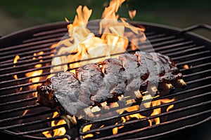 Grilling juicy pork ribs to perfection over open flames