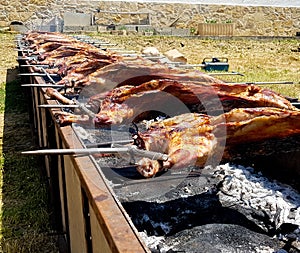 Grilling kids on a slow fire for popular food