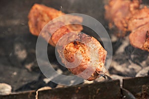 Grilling marinated shashlik on a grill. Shashlik is a form of Shish kebab popular in Eastern, Central Europe