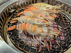 Grilling prawn on charcoal stove