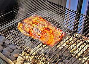 Grilling salmon fillet on a cedar-plank