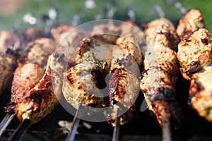 Grilling shashlik on a grill