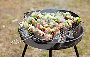 Grilling at summer weekend