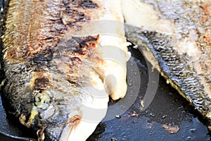 Grilling gilt-head bream in Spain photo