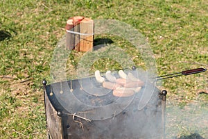 Grilling Tasty Meat Sausages on Barbecue Grill