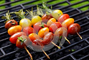 Grilling tomato skewers, skewers of colorful cherry tomatoes studded on rosemary sprigs with the addition of aromatic spices and s