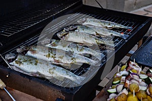 Grilling whole fishes on grate in garden. Grilled marinated fresh trouts over the charcoals on barbecue grill on summer time