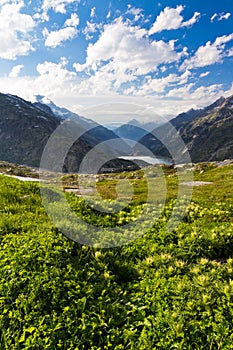 Grimselpass Switzerland