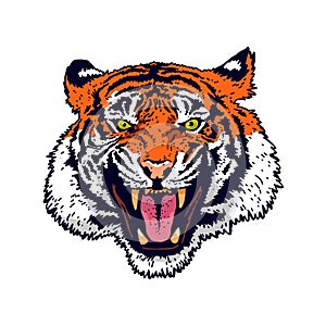 The grin of a tiger. Angry tiger face. Detailed drawing of a tiger. The symbol of the new 2022