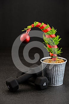 Grinch Christmas tree, Lemon Cypress tree, wrapped in red ribbon with a red ball ornament on the top, holiday fitness with a pair