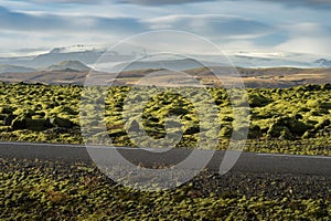 Grindavik Lava field at Iceland that cover by green moss with asphalt road foreground and snow mountain background