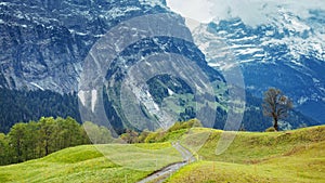 En Bernés Alpes Montana alta prados a 
