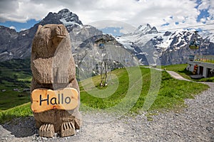 Grindelwald First with Marmot holding a greating