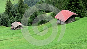 Grindelwald First. A peaceful view in the Swiss Alps