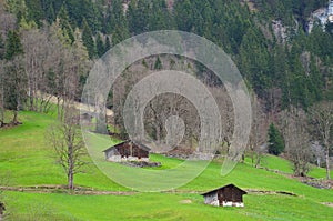 Grindelwald Village in Switzerland