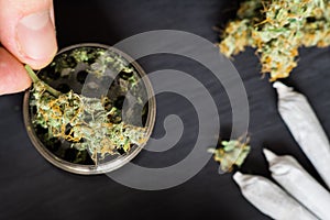 Grinder for chopping weed cannabis and a flower of marijuana on a black background surrounded by joint