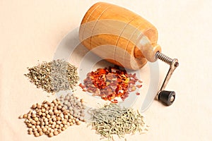 Grinder with spices