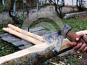 Cutting bark from an ash log with a hatchet