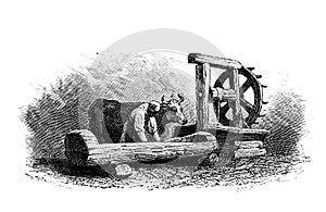 Grinding wheat in the old book the Martyrs of Science , by G. Tissandier, 1880, St. Petersburg