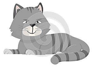 Grinning cat. Fluffy gray pet. Sneaky character