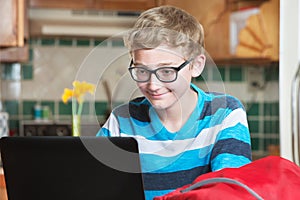 Grinning child using laptop computer