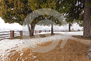 Grinzane Cavour Castle garden. Color image