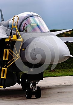 Gripen detail