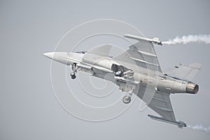 Gripen fighter aircraft