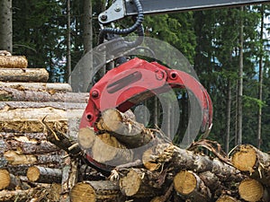 Gripper loading wood photo