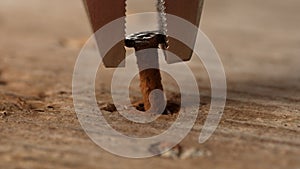 Gripping jaws of pliers clamp on a rusty nail.