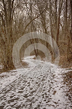 Grist Mill trail with snow