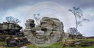 Grit rock outcrop at historical Brimham rocks in Yorkshire