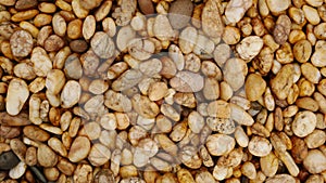 Grit stone wall background, pebble stone background