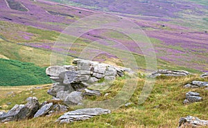 Gritstone rock and swathes of heather. photo