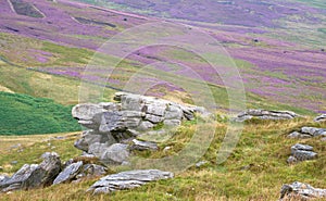 Gritstone rock and swathes of heather.