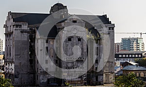 Grivita - Luther Brewery