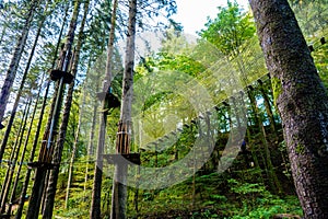 Grizedale Forest UK 1st Oct 2020 Go Ape Adventure. Found in many of the national parks and local recreation grounds