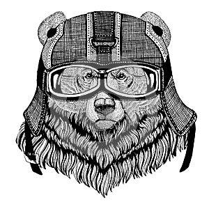 Grizzly bear Big wild bear wearing motorcycle helmet, aviator helmet Illustration for t-shirt, patch, logo, badge