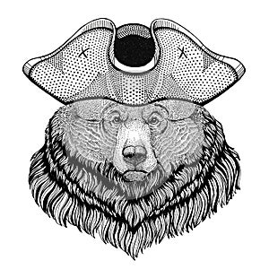 Grizzly bear Big wild bear wearing pirate hat Cocked hat, tricorn Sailor, seaman, mariner, or seafarer