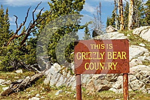 Grizzly bear country sign mountains