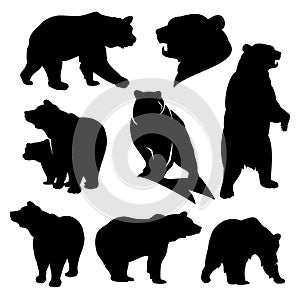 Grizzly bear detailed black and white vector silhouette set