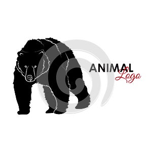 Grizzly bear icon logo symbol vector